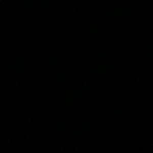 Meet your Posher, Kamron